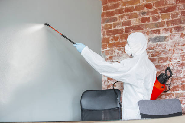 Best Emergency Mold Remediation  in Frazeysburg, OH