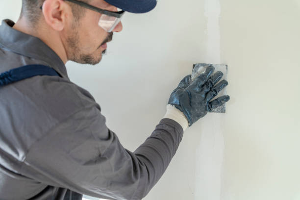 Mold Odor Removal Services in Frazeysburg, OH
