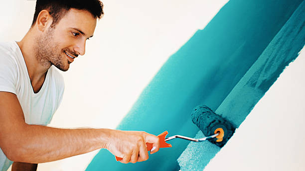Best Attic Mold Removal  in Frazeysburg, OH